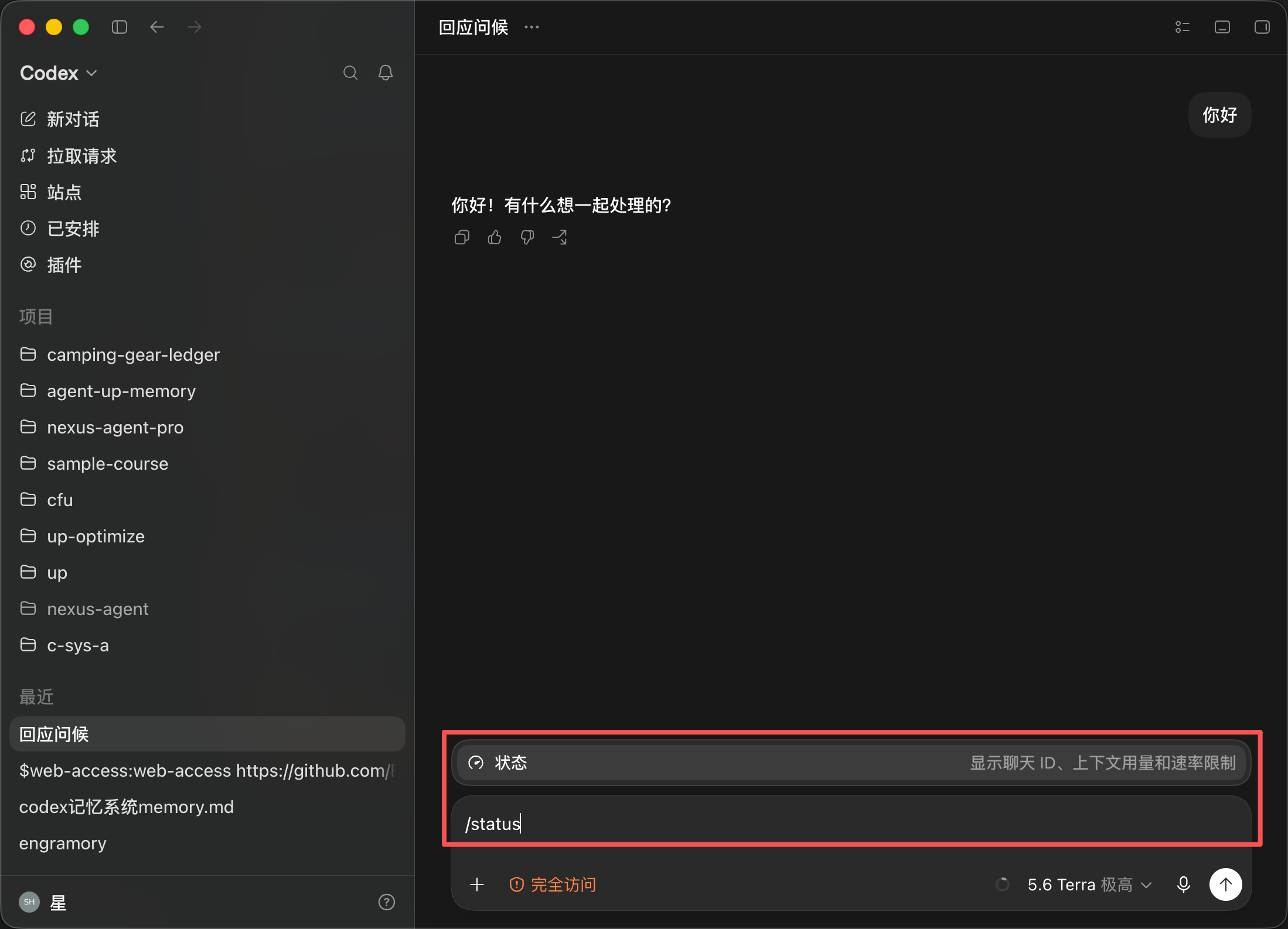 Codex-桌面-使用情况