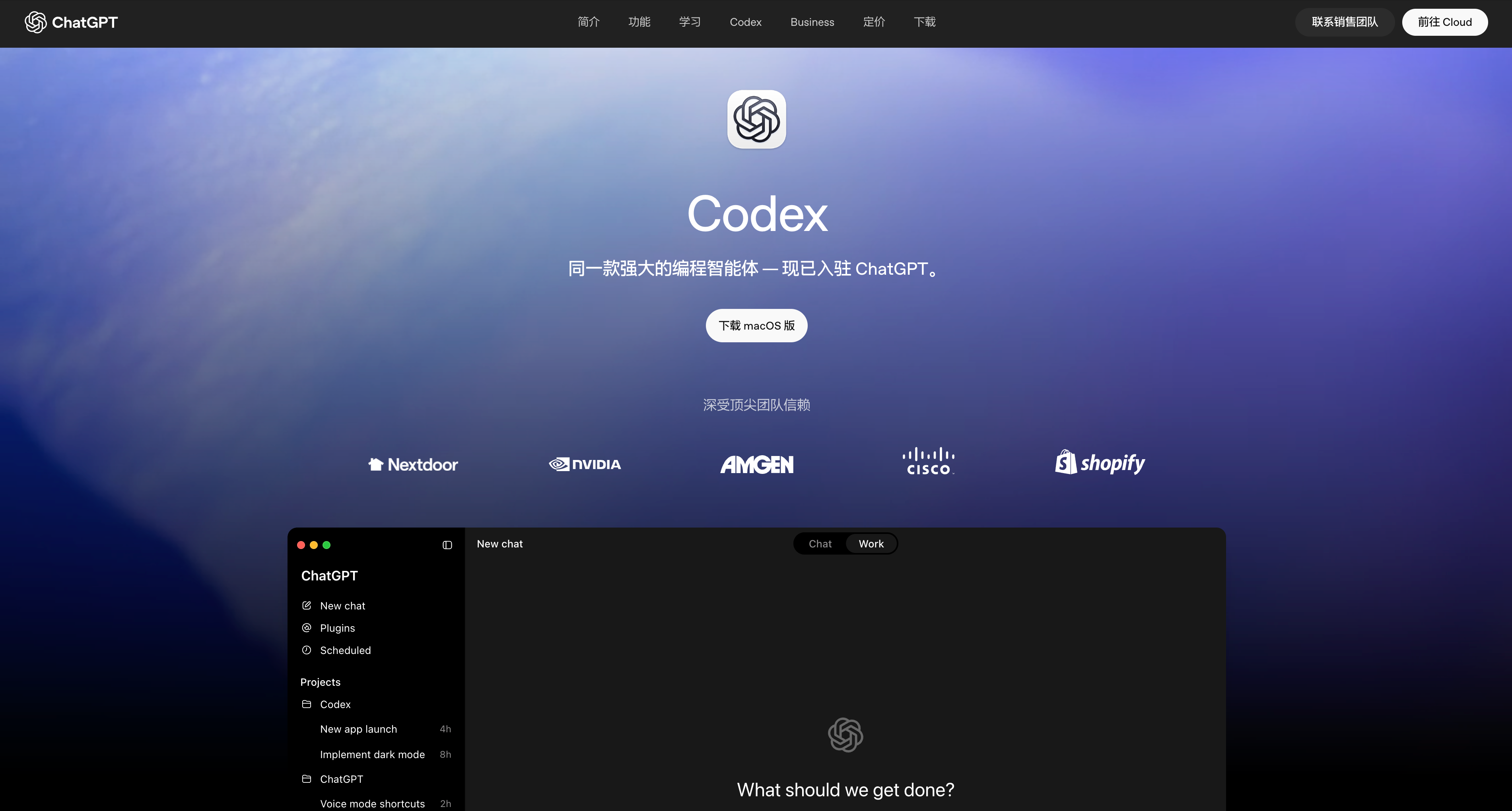 Codex下载页