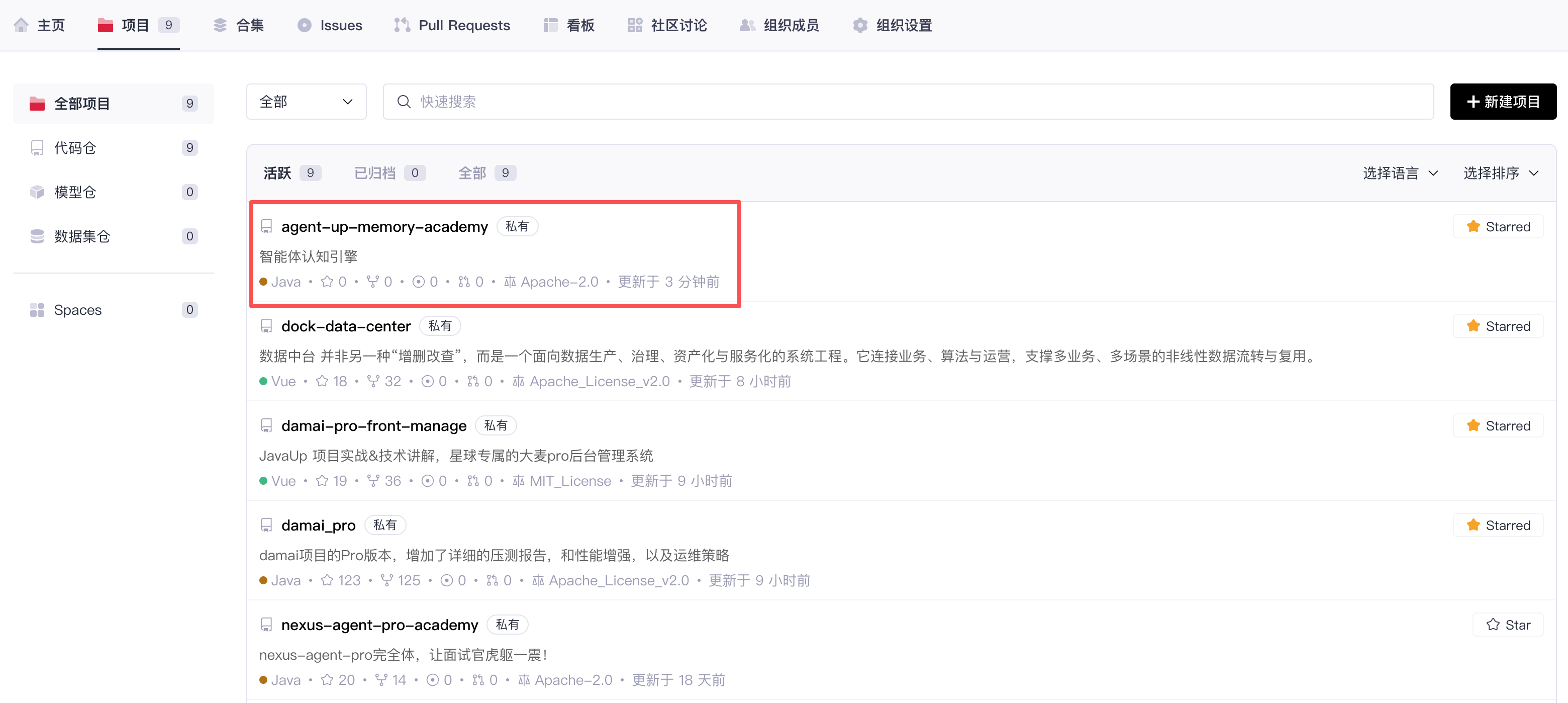 私有项目截图